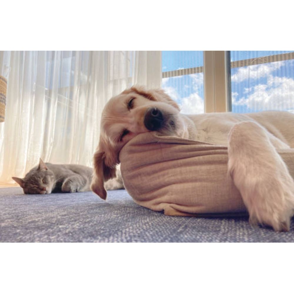 Natural Pet Care