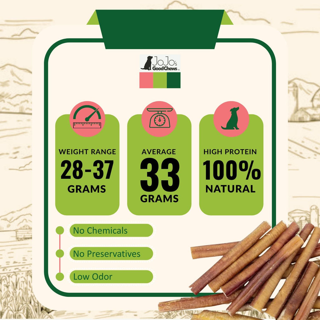 All-Natural Beef Bully Stick Dog Treats, High Protein & Long-Lasting Chews – 6-Inch Thick (25/case)